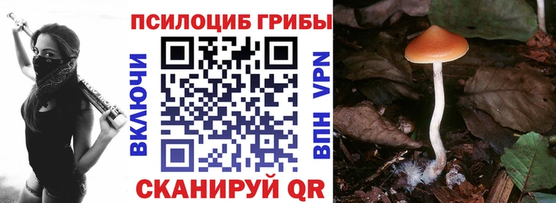 Псилоцибиновые грибы Psilocybe Ишим